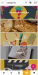 daily quiz categories