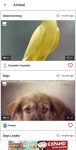 daily status app