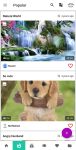 daily status app
