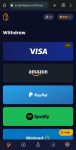 scrambly withdraw options