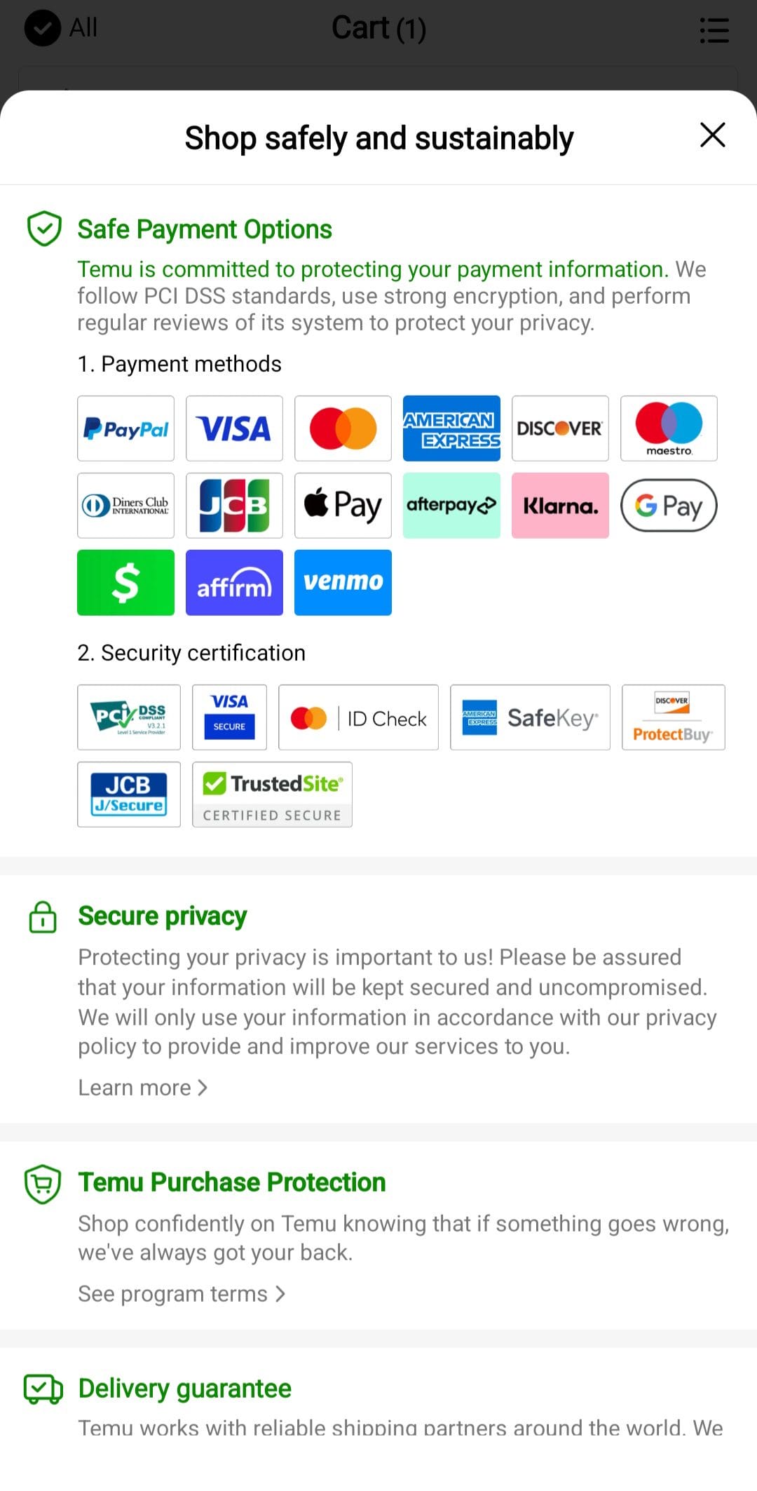 Temu payment methods