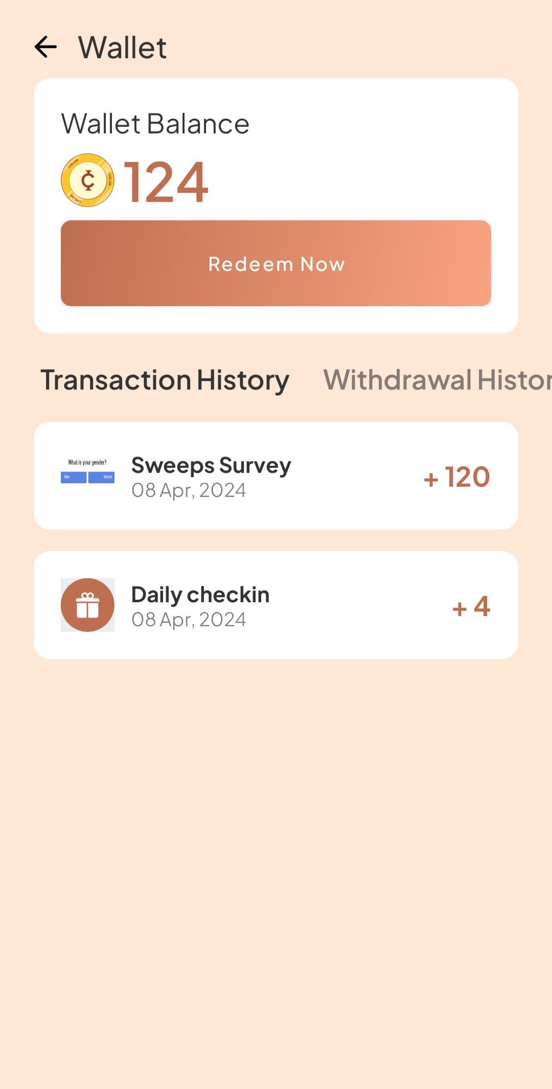 Chillar wallet balance