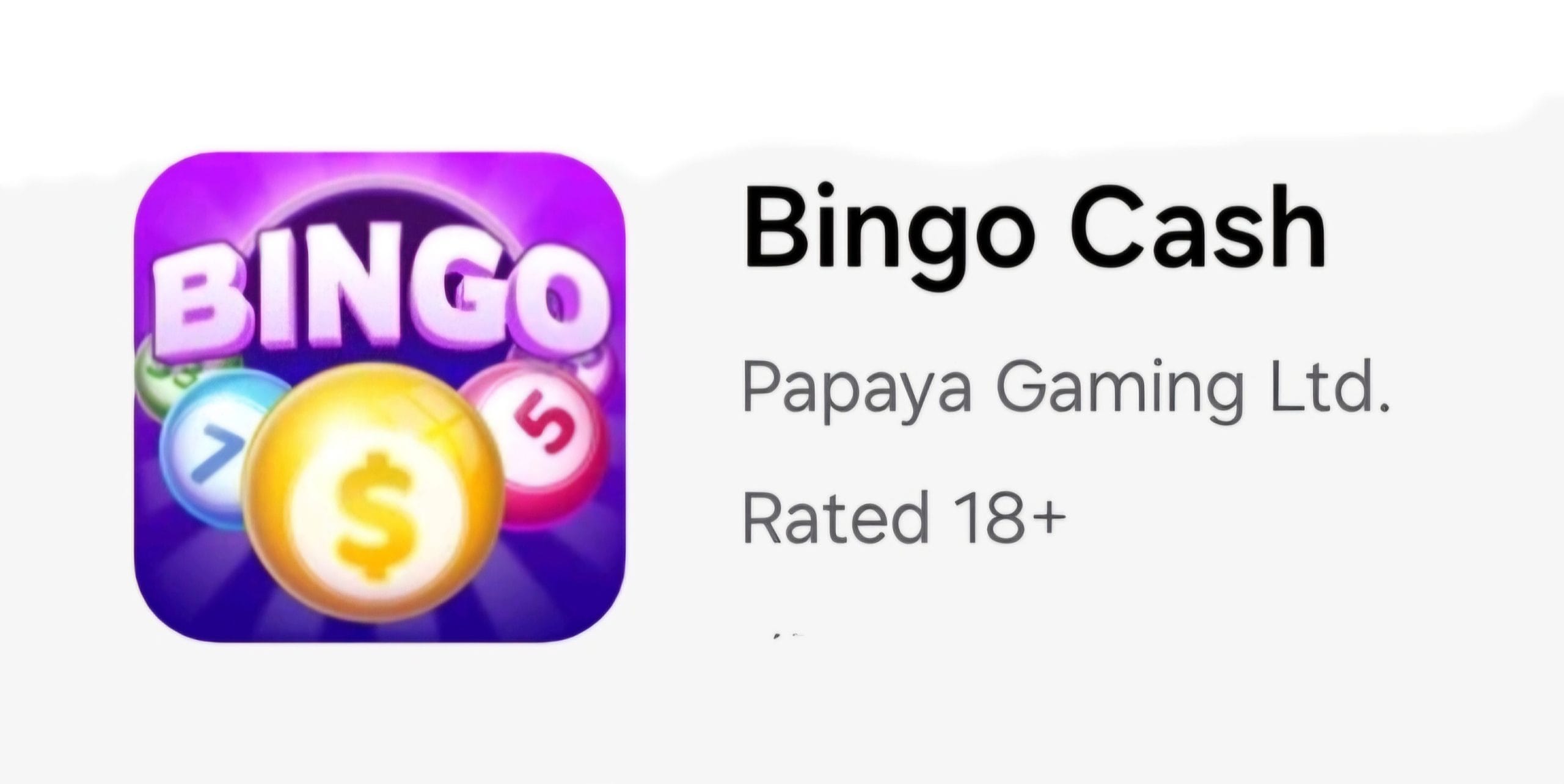 Bingo Cash app