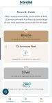 Branded Surveys earning levels