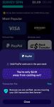 Survey Spin paypal
