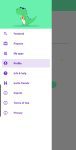 Money RAWR profile menu