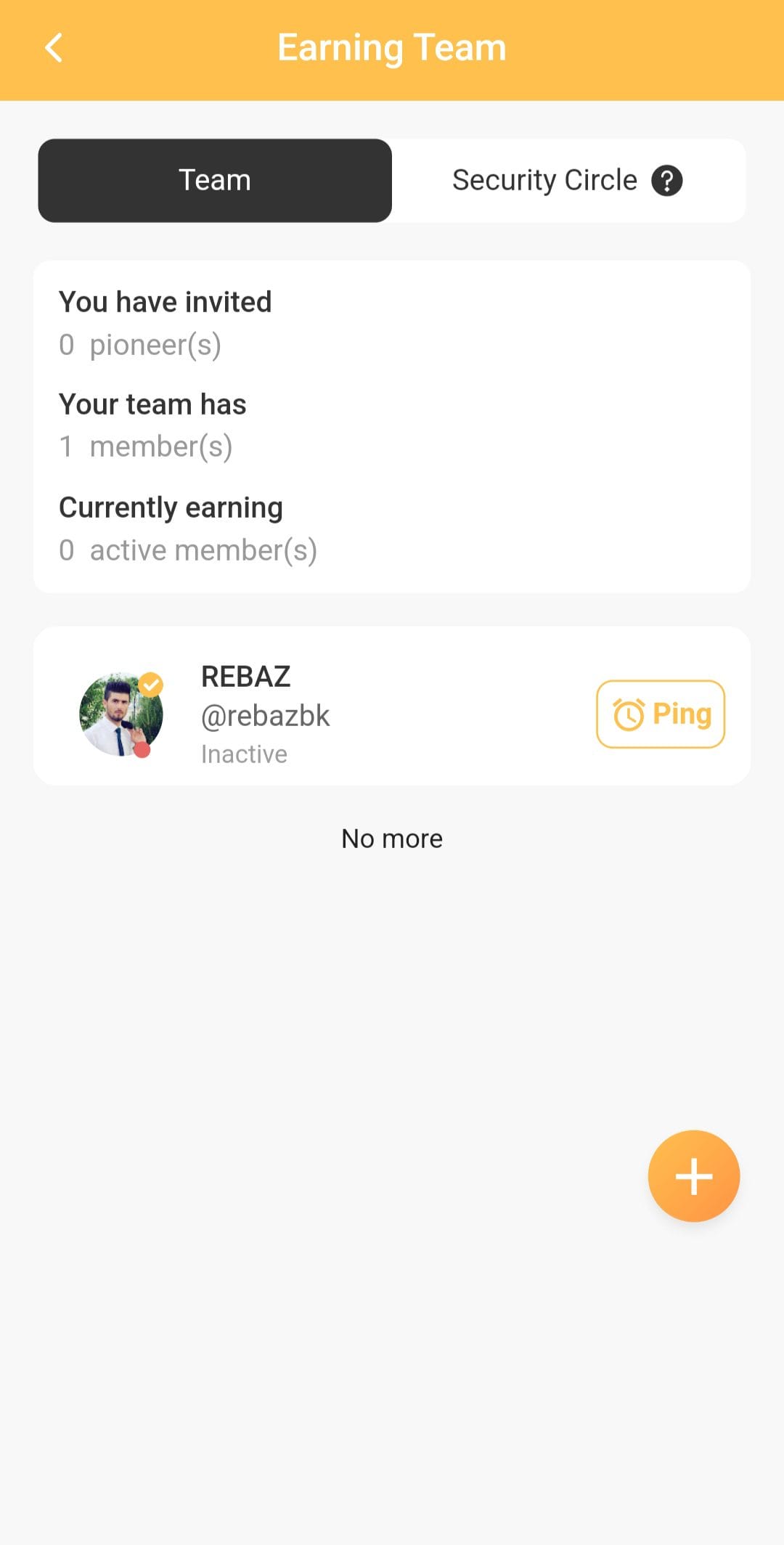 Bee Network earning team