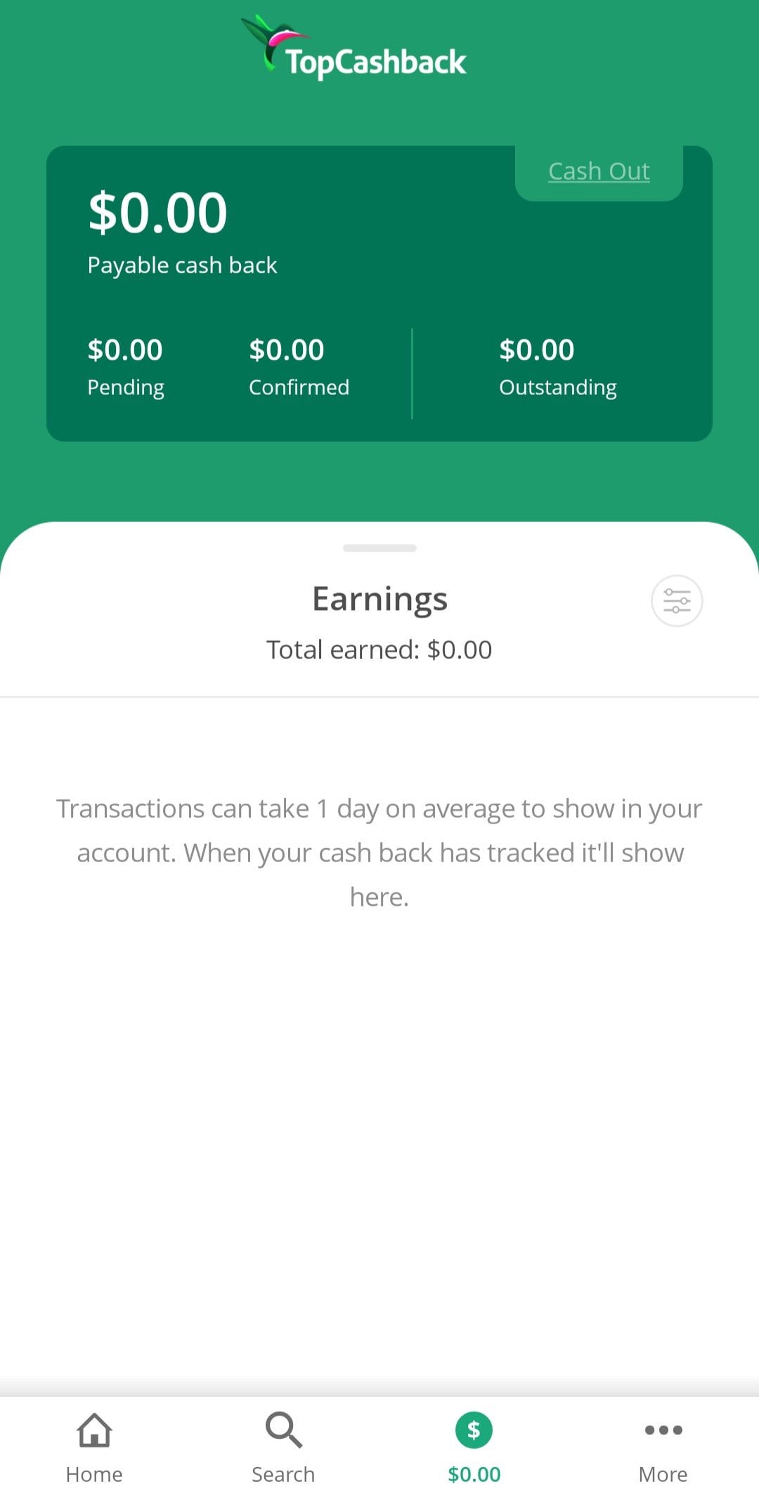 TopCashback earnings