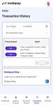 Nodepay Transaction History
