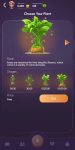 Grow Your Forest Choose Your Plant