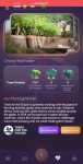Grow Your Forest Trees Planted