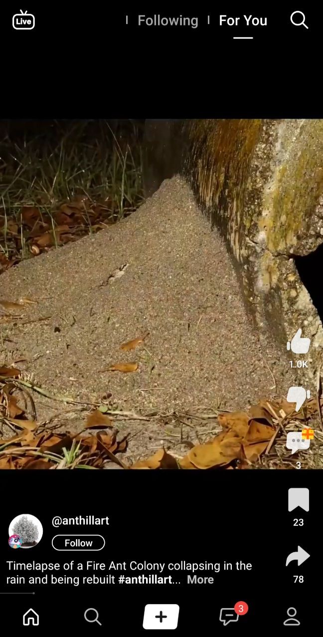 Clapper Video Interface