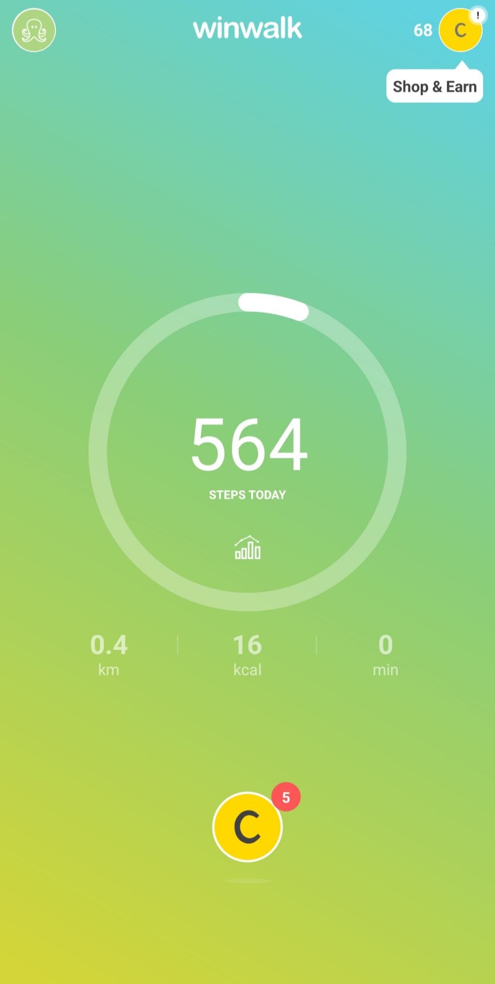 Winwalk Step Counter Interface